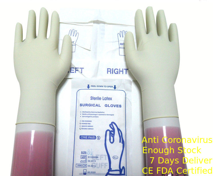 Natural White Color Sterile Latex Surgical Gloves Disposable With Rolled Rim supplier